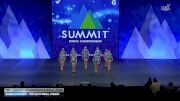 Dance Dynamics - Tiny Elite Small Lyrical [2026 Tiny - Premier - Contemporary/Lyrical Semis] 2026 The Dance Summit