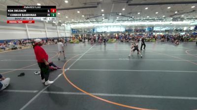 113 lbs Champ. Round 3 - Connor Bagdonas, Perrysburg vs Koa DeLoach, Unattached