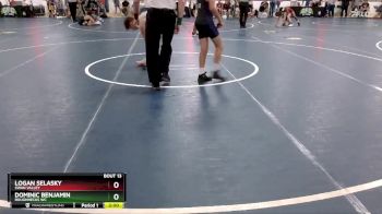 112 lbs Champ. Round 1 - Logan Selasky, Swan Valley vs Dominic Benjamin, Roughnecks WC