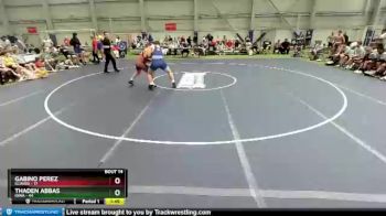 195 lbs Placement Matches (8 Team) - Gabino Perez, Illinois vs Thaden Abbas, Iowa