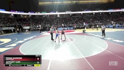 I-124 lbs Quarterfinal - Anthony Clem, Wantagh vs Tomah Gummow, Indian River