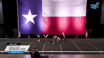 Primal Cheer - Shadow Cats [2024 L1 Tiny - D2 Day 2] 2024 Cheer Power Texas State Showdown Galveston