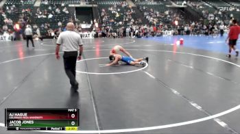 133 lbs Quarterfinal - Jacob Jones, Air Force vs Aj Hague, Colorado Mesa University