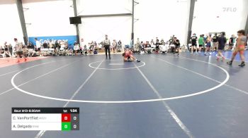 90 lbs Rr Rnd 1 - Chase VanPortfliet, Michigan Premier Blue vs Ayden Delgado, VHW Black