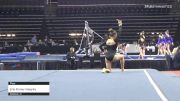 Erin Finney Integrity Athletics - Floor