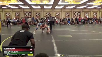 95 lbs Quarterfinals (8 Team) - Joshua Golighty, Team Alien vs Mason Soney, SVRWC Gold