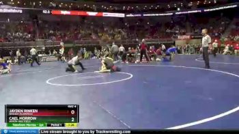 1A-106 lbs Semifinal - Jayden Rinken, Nashua-Plainfield vs Cael Morrow, Akron-Westfield