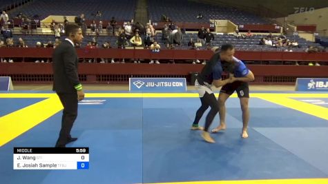 Ethan Josiah Sample vs Jeffrey Wang 2024 Pan IBJJF Jiu-Jitsu No-Gi Championship