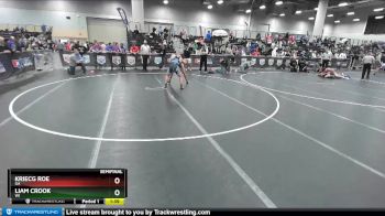 160 lbs Semifinal - Kriecg Roe, GA vs Liam Crook, WI