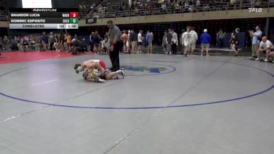 120 lbs Consi-qtrs - Brandon Lucia, Washington Twp vs Dominic Esposito, Columbia