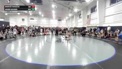 54 lbs Round Robin 6 - Marcus Rosales, Grit -YTH vs Asher Haugen, Gold Standard - YTH