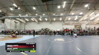 175 lbs Cons. Round 5 - Sergio Cantu, Roosevelt vs Brody White, Platte Valley