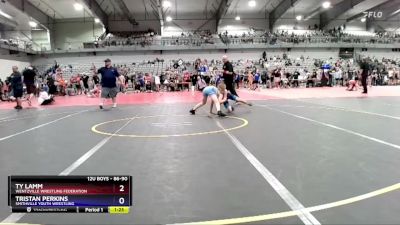 86-90 lbs Round 2 - Ty Lamm, Wentzville Wrestling Federation vs Tristan Perkins, Smithville Youth Wrestling