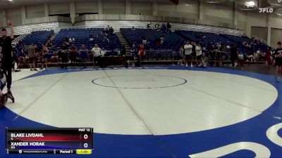 190 lbs Quarterfinal - Blake Livdahl, IL vs Xander Horak, OH