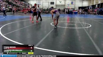 132 lbs Quarterfinals (8 Team) - Cameron Brumbaugh, Hastings vs Tyson Brown, Blair