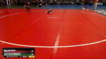 45 lbs Placement (4 Team) - Gattlin Rynkievich, Dassel-Cokato-Litchfield vs Ben Kraemer, Rocori