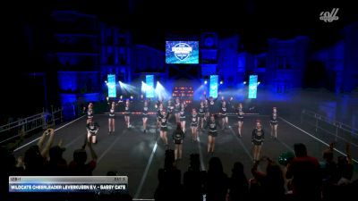 Wildcats Cheerleader Leverkusen e.V. - Sassy Cats [2026 U16-1 Day 3] 2026 ELITE Cheerleading Championship