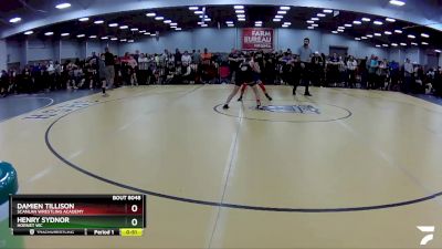 83 lbs Cons. Round 2 - Damien Tillison, Scanlan Wrestling Academy vs Henry Sydnor, Hornet WC