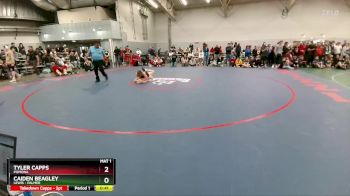 144 lbs Cons. Round 6 - Caiden Beagley, Lewis - Palmer vs Tyler Capps, Pomona