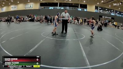 100 lbs Round 1 - Gavin Horne, Cali Red vs Ayden Tucker, New Kent WC