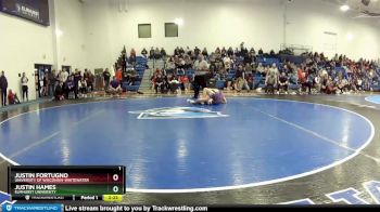 133 lbs Quarterfinal - Justin Hames, Elmhurst University vs Justin Fortugno, University Of Wisconsin-Whitewater