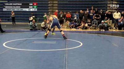 139 lbs Final - Collier Hartman, Canon-McMillan vs Brooks Blasko, Norwin