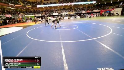 145 lbs Champ. Round 1 - BRIDGER JOHNSON, Chugiak High School vs Laramie Gibson, Colony High School