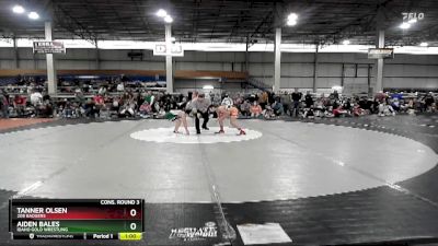 85 lbs Cons. Round 3 - Aiden Bales, Idaho Gold Wrestling vs Tanner Olsen, 208 Badgers