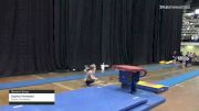 Sophia Harwood - Women's Group, Classic Gymnastics - 2021 Women's Xcel Region 4 Championships