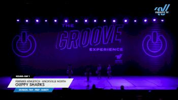 Premier Athletics - Knoxville North - Guppy Sharks [2024 Tiny - Prep - Variety Day 1] 2024 GROOVE Dance Grand Nationals