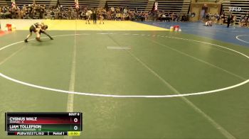 60 lbs Semis & 1st Wrestleback (8 Team) - Cygnus Walz, Staples vs Liam Tollefson, Chaska/Chanhassen