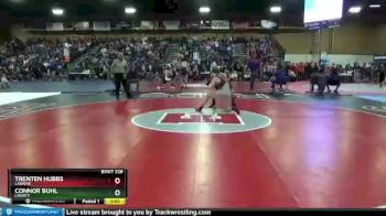138 lbs Champ. Round 2 - Connor Buhl, Liberty vs Trenten Hubbs, Laramie