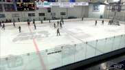 Replay: Home - 2024 Polar Bears U14 vs Bandits 14U AA (G) | Feb 3 @ 7 PM