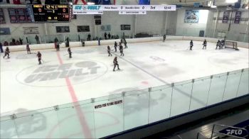 Replay: Home - 2024 Polar Bears U14 vs Bandits 14U AA (G) | Feb 3 @ 7 PM