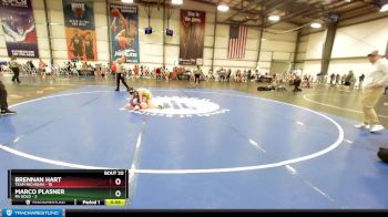 68 lbs Rd# 8- 12:30pm Saturday Final Pool - Marco Plasner, PA Gold vs Brennan Hart, Team Michigan