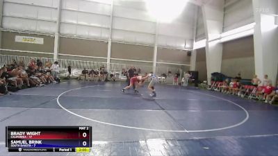 175 lbs Quarterfinals (8 Team) - Brady Wight, California vs Samuel Brink, South Dakota