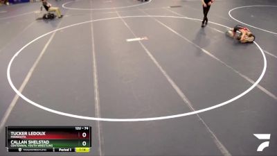 74 lbs Cons. Round 3 - Callan Shelstad, Centennial Youth Wrestling vs Tucker Ledoux, Minnesota