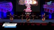 Texas Cheer Force Elite - Fury [2025 L1.1 Youth - PREP - D2 - B Finals] 2025 NCA All-Star National Championship