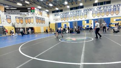 126 Gold 1st Place Match - Elijah Hattaway, Camden vs Will Harvey, Wakulla Hs