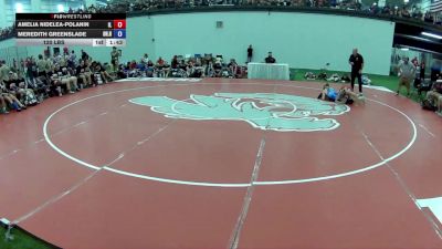 120 lbs Amelia Nidelea-Polanin, Illinois vs Meredith Greenslade, Ohio Red