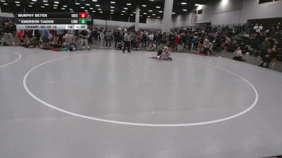 165 lbs Champ. Rd Of 16 - Murphy Beyer, Team Nazar Training Center vs Emerson Tjaden, Lawrence Elite Wrestling Club