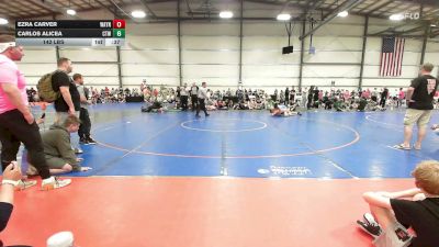 142 lbs Rr Rnd 2 - Ezra Carver, Wayne Danger - MS vs Carlos Alicea, CTWHALE Orca - MS