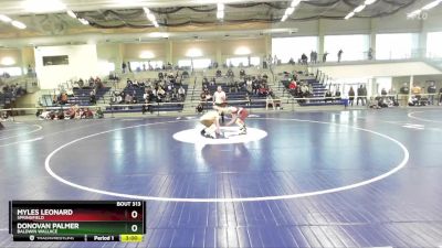 165 lbs Quarterfinal - Donovan Palmer, Baldwin Wallace vs Myles Leonard, Springfield