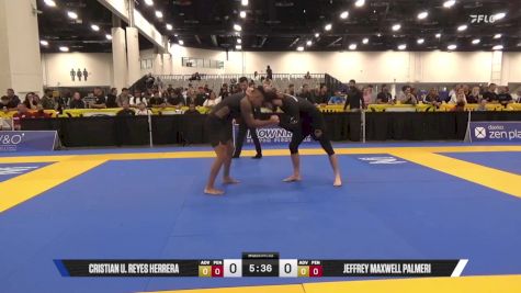 Jeffrey Maxwell Palmeri vs Cristian U. Reyes Herrera 2025 World IBJJF Jiu-Jitsu No-Gi Championship
