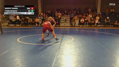 133 lbs Champ. Round 3 - Tyden Schultz, Briar Cliff (Iowa) vs Murphy Harris, Colorado Mesa University