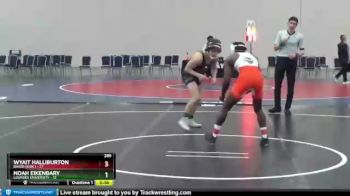 125 lbs Finals (2 Team) - Riley Rhone, Lourdes University vs Keyshaun Taylor, Brewton-Parker (GA)