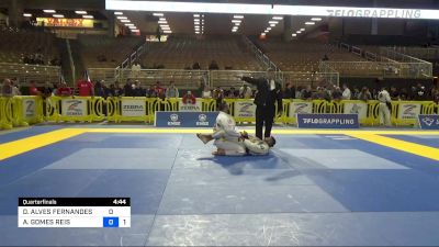 DIEGO ALVES FERNANDES vs ANDRE GOMES REIS 2022 Pan Jiu Jitsu IBJJF Championship