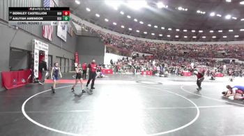 95 lbs Cons. Round 2 - Aaliyah Amenson, Oconto vs Berkley Castellion, Hortonville