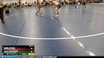 Elite 197 lbs Cons. Round 4 - Gabe Carter, Wisconsin-La Crosse vs Cole Matulenko, Wisconsin-Eau Claire