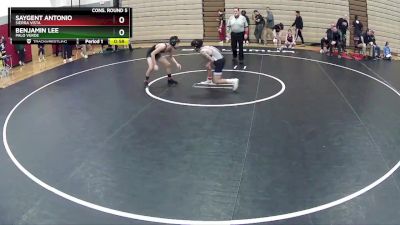 106 lbs Cons. Round 5 - Benjamin Lee, Palo Verde vs Saygent Antonio, Sierra Vista